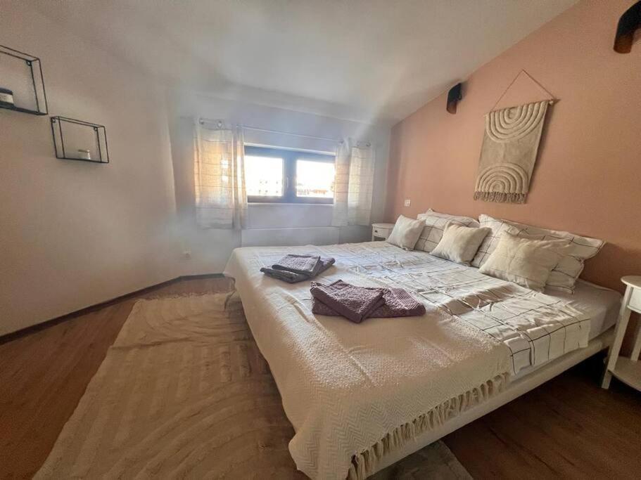 Cozy 1 Bedroom Apartment Next To The Gondola Банско Экстерьер фото